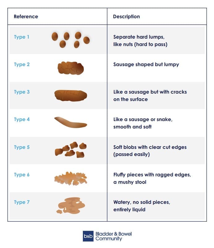 Stool chart B&B Bristol Stool Chart