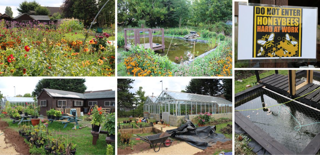 Montpellier allotment redevelopment project